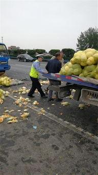 吃瓜群众车,一场全民参与的汽车盛宴