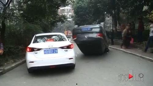 吃瓜群众车,一场全民参与的汽车盛宴