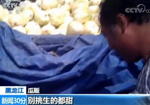 快穿嘎嘎吃瓜看戏小说,快穿女配的吃瓜日常  第2张