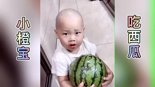 吃瓜娱乐小橙子,揭秘娱乐圈幕后故事