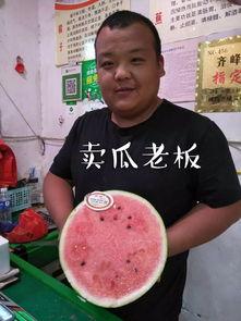 瓜瓜吃瓜主题赏析,揭秘网络热议背后的真相与趣味