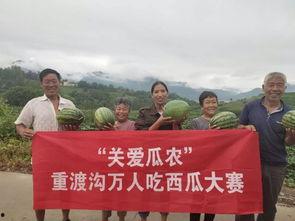 重渡沟吃瓜,清凉一夏，尽享田园风光