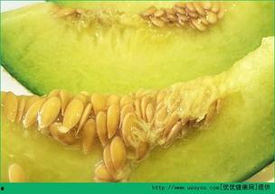 孩子咳嗽可以吃哈密瓜吗,孩子咳嗽时的天然食疗选择