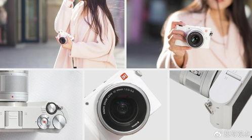 吃瓜小渔相机,揭秘美食背后的故事