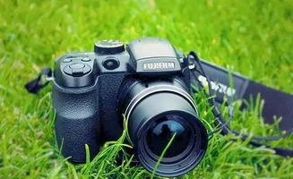 吃瓜小渔相机,揭秘美食背后的故事