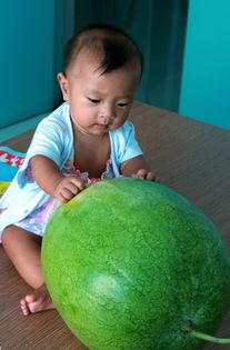 专辑吃瓜,揭秘音乐专辑吃瓜背后的故事与魅力  第2张