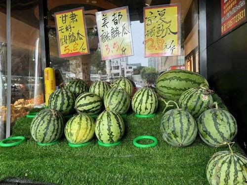 吃无籽麒麟瓜,夏日消暑新宠，一口咬下甜蜜满溢