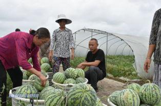吃瓜群众分百万