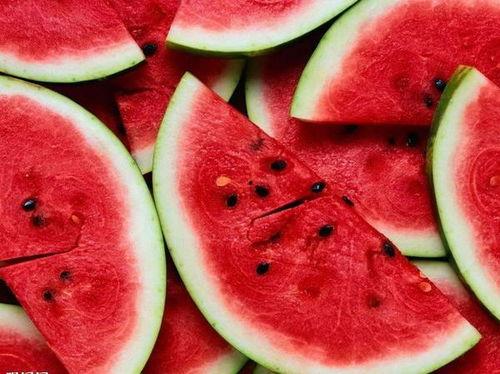 吃西瓜保护我的瓜,吃瓜行动，守护我的瓜