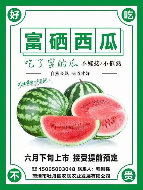 打卡吃瓜广西,畅享美食与瓜果盛宴  第3张