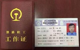 吃瓜群众买票,揭秘购票背后的疯狂与智慧  第1张