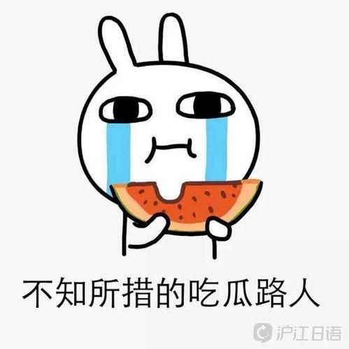 妙语吃瓜,揭秘娱乐圈那些鲜为人知的幕后故事  第1张