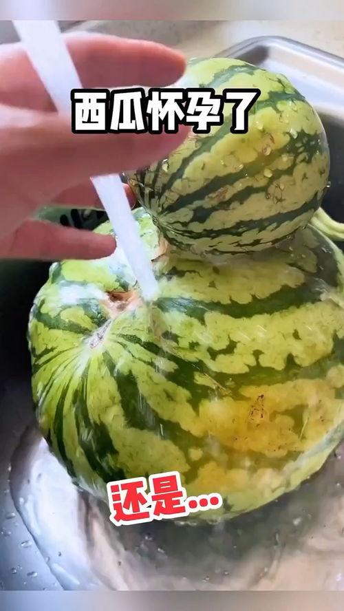 吃瓜吃不够搞笑视频,搞笑视频带你笑翻天  第3张