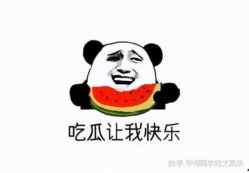 酒吧吃瓜群众文案搞笑,笑料百出，欢乐无限