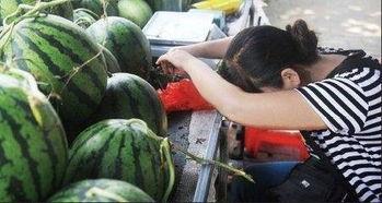 农民吃土瓜视频,农民自制土瓜视频走红网络