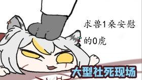 学猫叫吃瓜,揭秘网络热词背后的趣味与现象