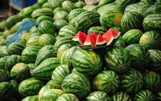吃熟瓜会胖吗,吃熟瓜真的会让人发胖吗？揭秘熟瓜热量与减肥关系