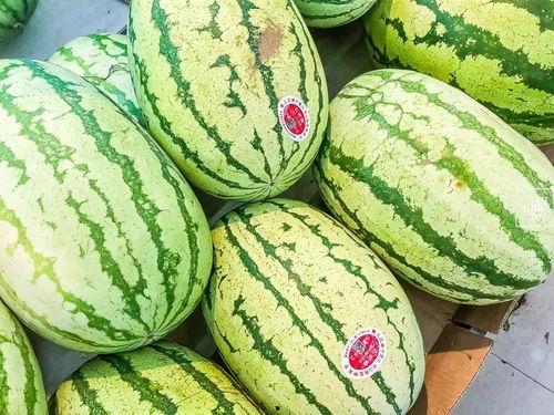 老富瓜怎么吃,解锁美味新体验