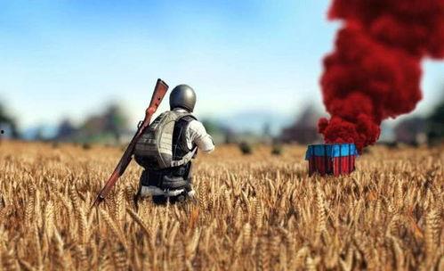 瓜仔让人机吃鸡,人机吃鸡新体验  第2张