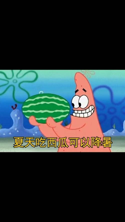 恶搞吃瓜段子搞笑,恶搞吃瓜段子，让你捧腹大笑！