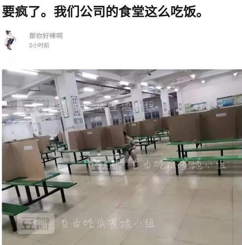 自由吃瓜基地小组 豆瓣,豆瓣上的娱乐狂欢场