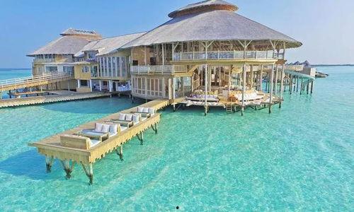 马尔代夫吃瓜,热带天堂里的“吃瓜”盛事