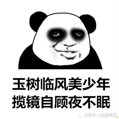 吃瓜事件搞笑段子,一场吃瓜引发的欢乐盛宴