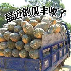 高冷吃瓜,揭秘娱乐圈的冰山一角  第3张