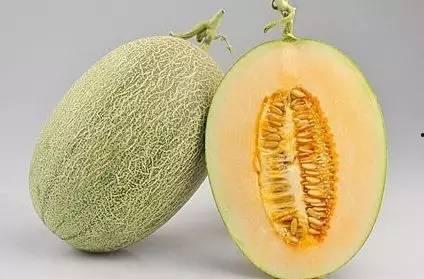 吃瓜送瓜地瓜君,地瓜君带你领略田园美味