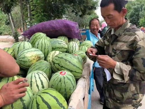 金昌吃瓜新闻最新视频,揭秘最新视频背后的惊人真相