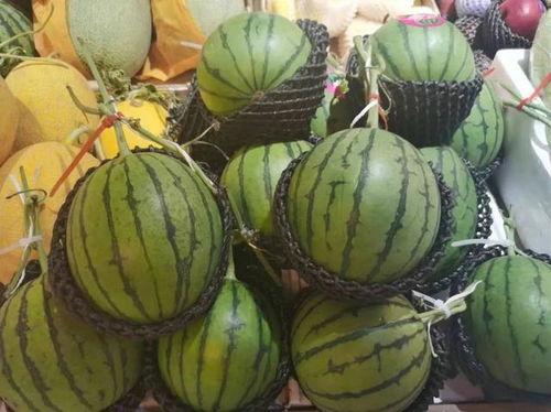 瓜了怎么吃,解锁夏日美味新境界