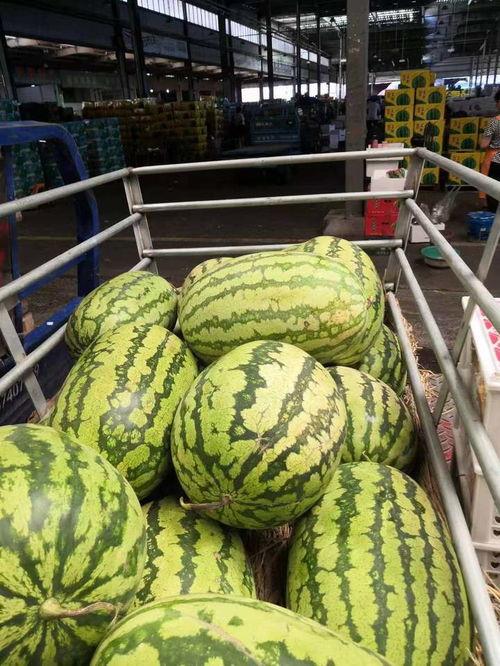 全民吃瓜商品批发