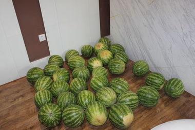 瓜哥吃片,揭秘美食背后的故事与传奇