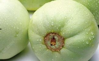 糖尿病人夏天可以吃瓜吗,糖尿病患者瓜果食用指南