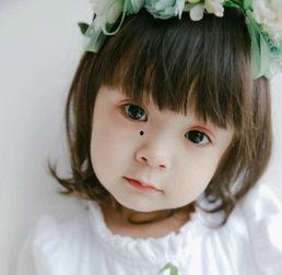 吃瓜哈琳,网络红人的崛起与影响力