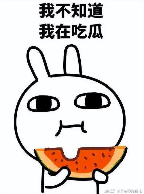 吃瓜哈琳,网络红人的崛起与影响力