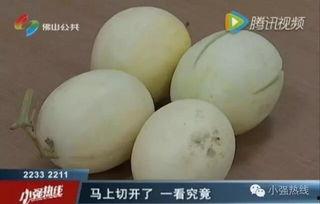 女子买瓜吃瓜的样子视频,女子买瓜吃瓜的欢乐瞬间