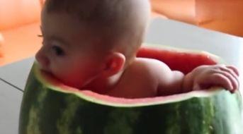 小孩的吃瓜视频