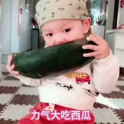 小孩的吃瓜视频