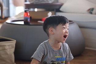 千辰吃瓜blue,揭秘娱乐圈幕后故事