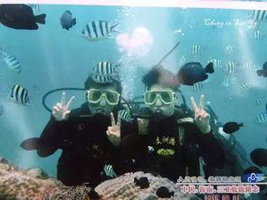 吃瓜小熊潜水视频,吃瓜小熊的潜水探险记