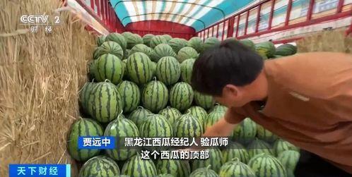 青枫吃瓜,揭秘娱乐圈那些不为人知的幕后故事