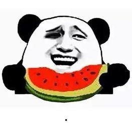 爱吃瓜为吃瓜而活的句子,以吃瓜为生的独特人生