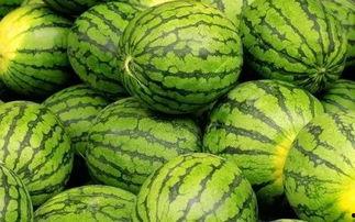 911吃瓜每日大赛,一场全民参与的狂欢盛宴